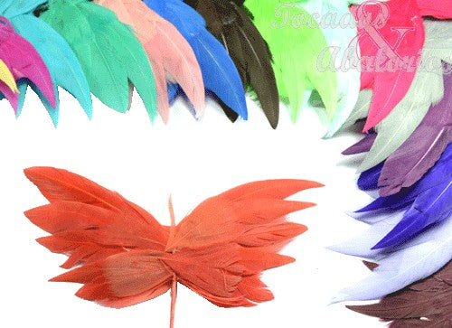 Mariposa de plumas