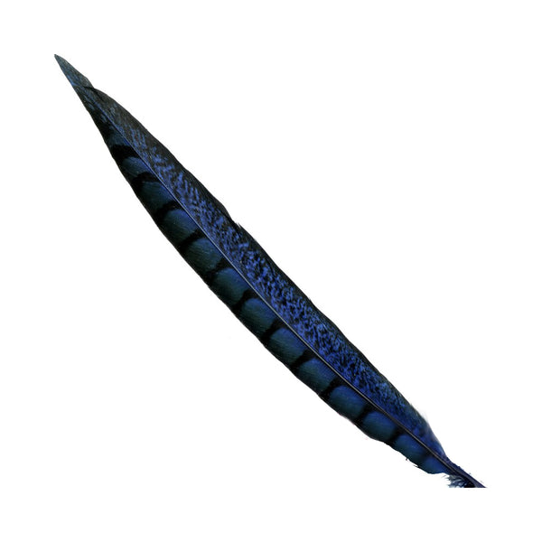 Faisán Lady 25 30 rojo azul marino