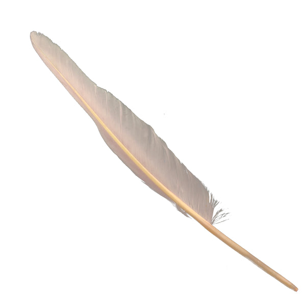 Pluma de ganso 25 nude