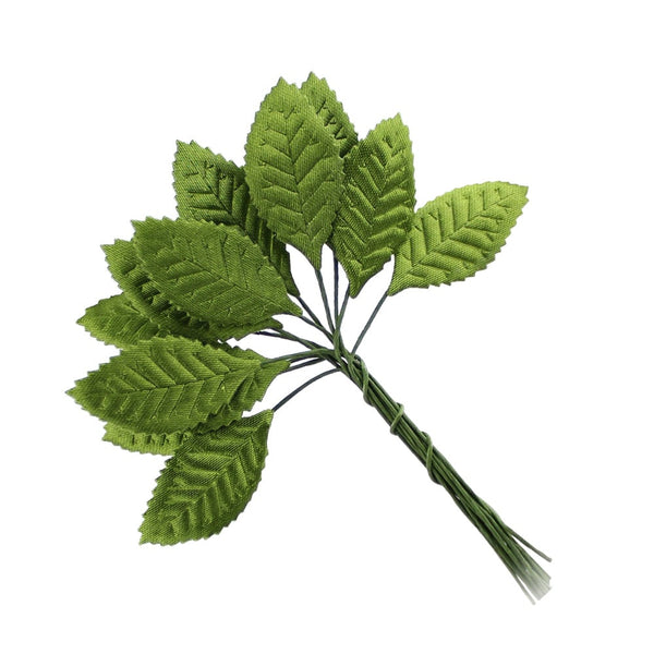 hojas raso chaeto verde medio
