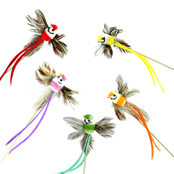 pajaro de plumas