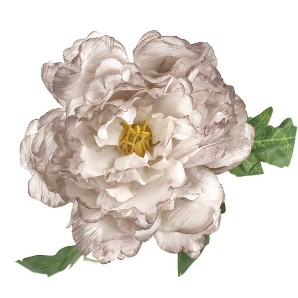 peonia noemi 14 cm gris medio