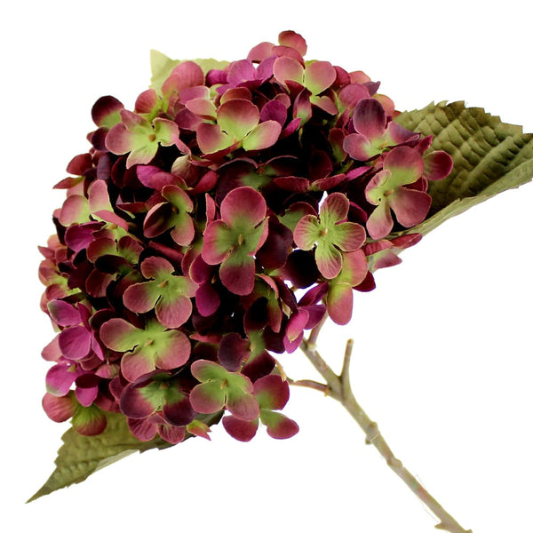ramo xxl hortensias fabiola granate