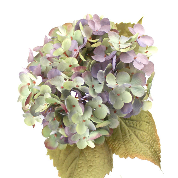 ramo xxl hortensias fabiola lila