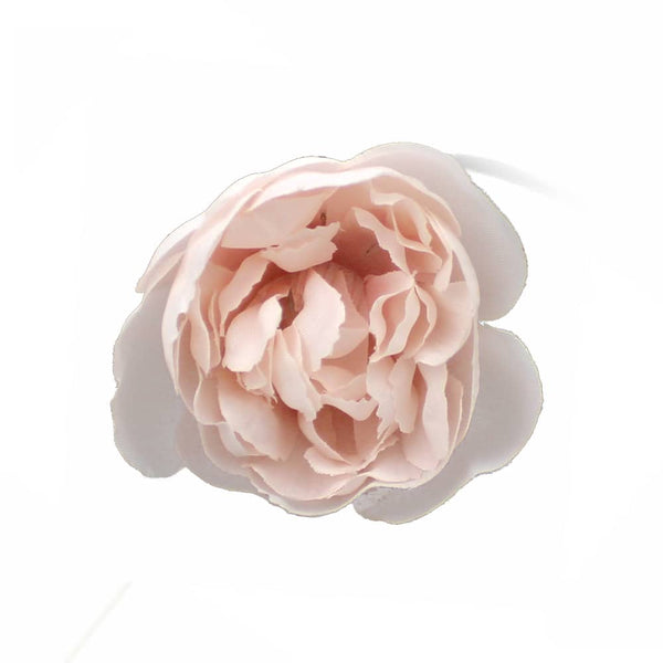 ranunculo 5 cm rosa