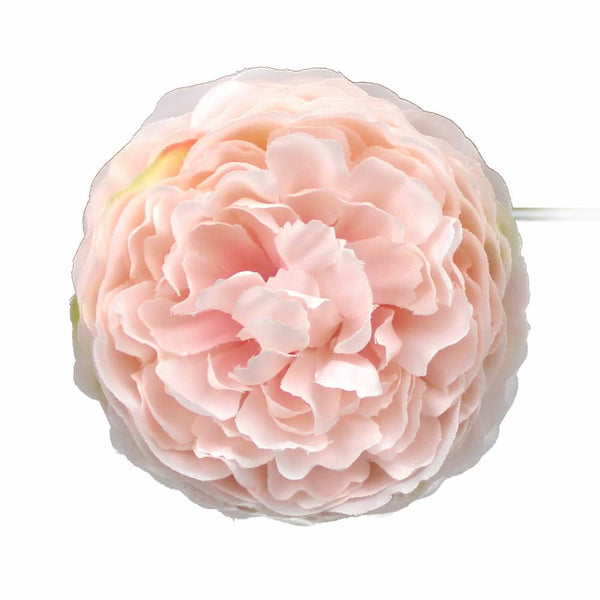 ranunculo 7 cm rosa