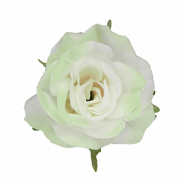 rosa 5 cm