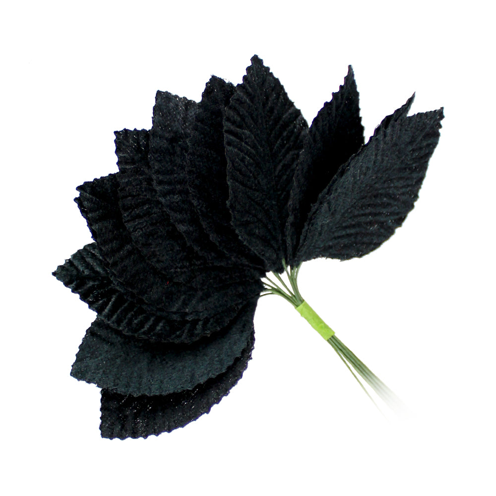 12 HOJAS TALLÍN negro