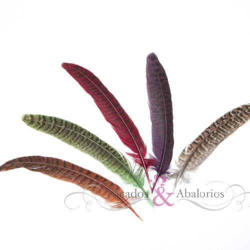 Bolsa plumas gallo león