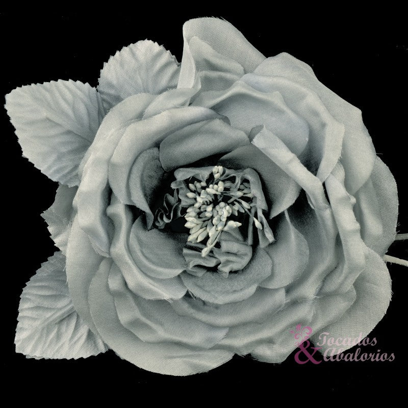 Flor estrella