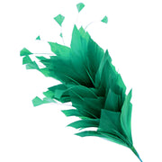 Vista 1