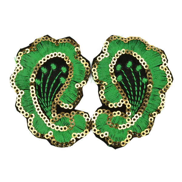 Aplicaci C3 B3n Paisley