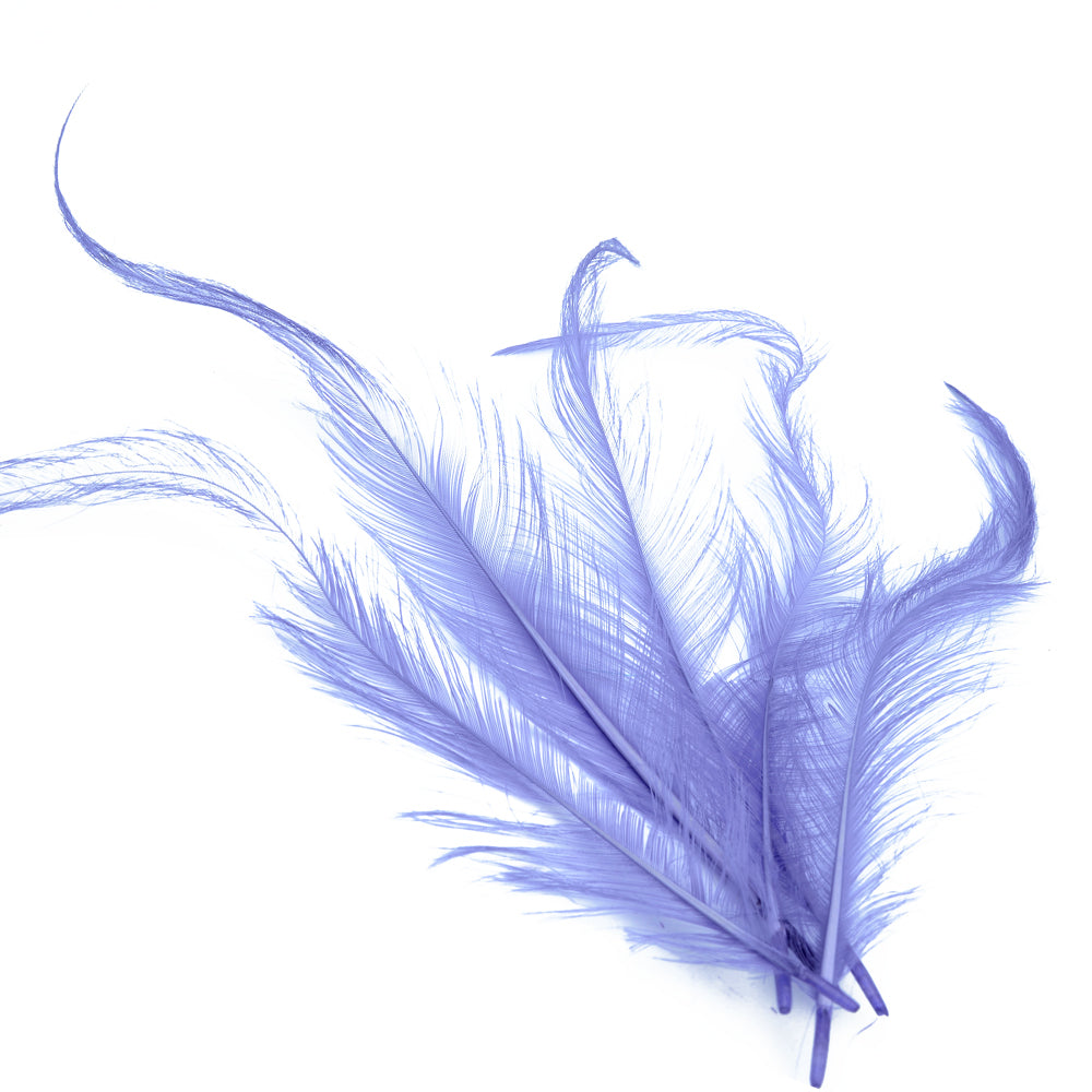 Bolsa Pluma Gallo quemada lila
