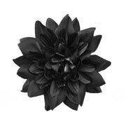 Vista 5