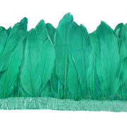 Vista 11