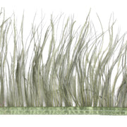 Vista 13