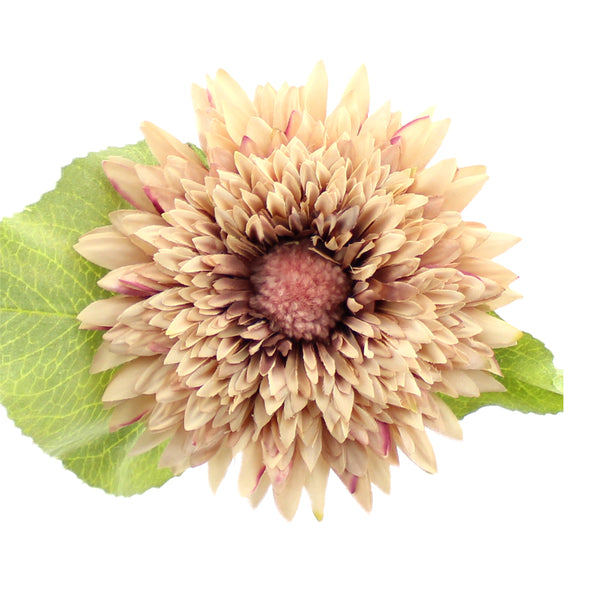 Flor Scarlet 11-14cm rosa nude