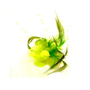 Vista 11