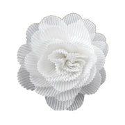 Vista 6