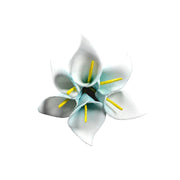 Vista 4