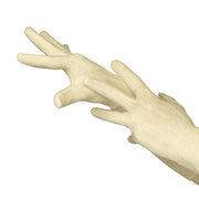 Vista 11