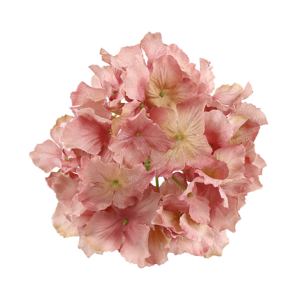 Hortensia Rizada rosa maquillaje