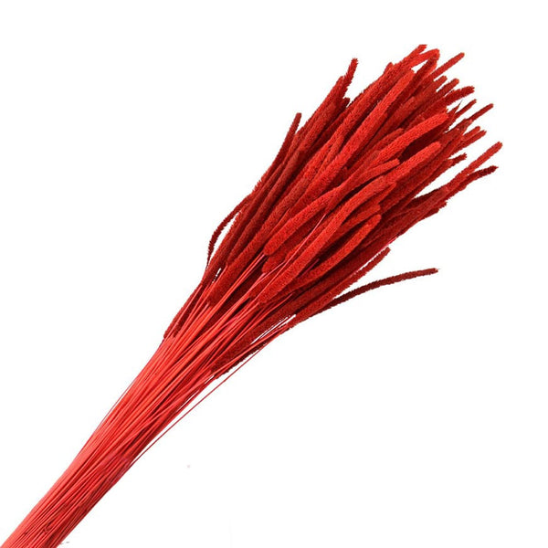 PHLEUM PRESERVADO rojo
