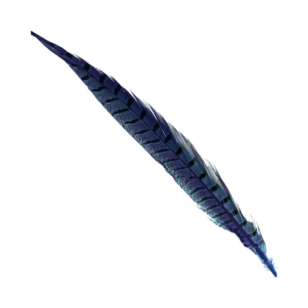PLUMA FAISÁN COMÚN 30 35 CM AZUL MARINO