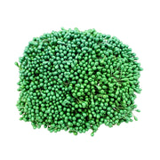 Vue 6