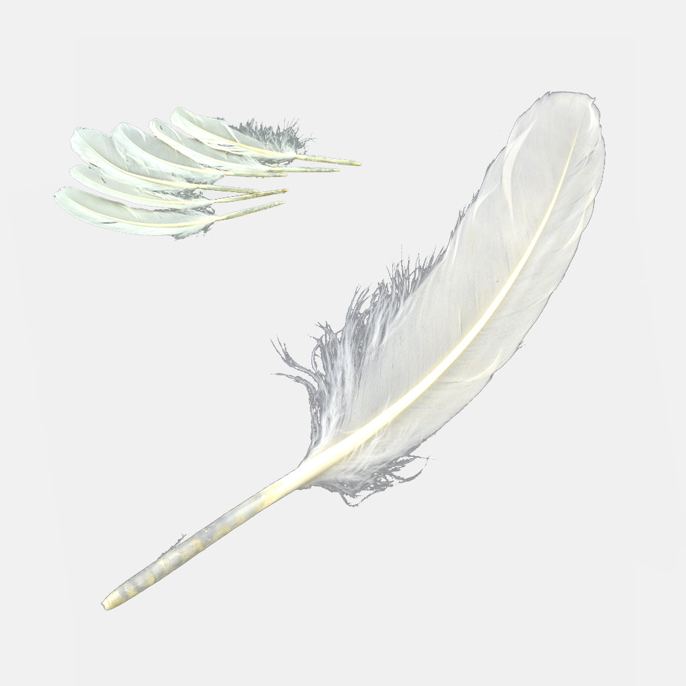 Pack 20 ud Pluma Anade blanco