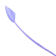 Vue 16