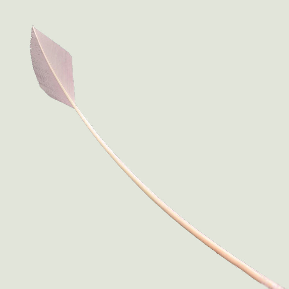 Pavo flecha 30 40 cm rosa