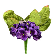 Vue 1