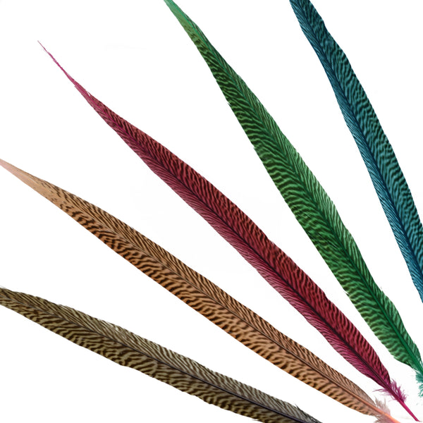 Pluma Fais C3 A1n dorado 45 50 CM portada