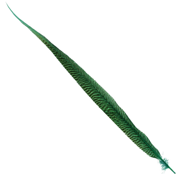 Pluma Faisán dorado 45 50 CM verde topacio