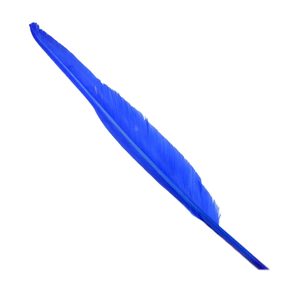 Pluma de ganso 25 azul klein