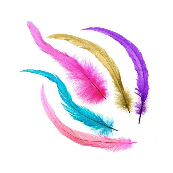 Pluma gallo 18 25 cm c defec