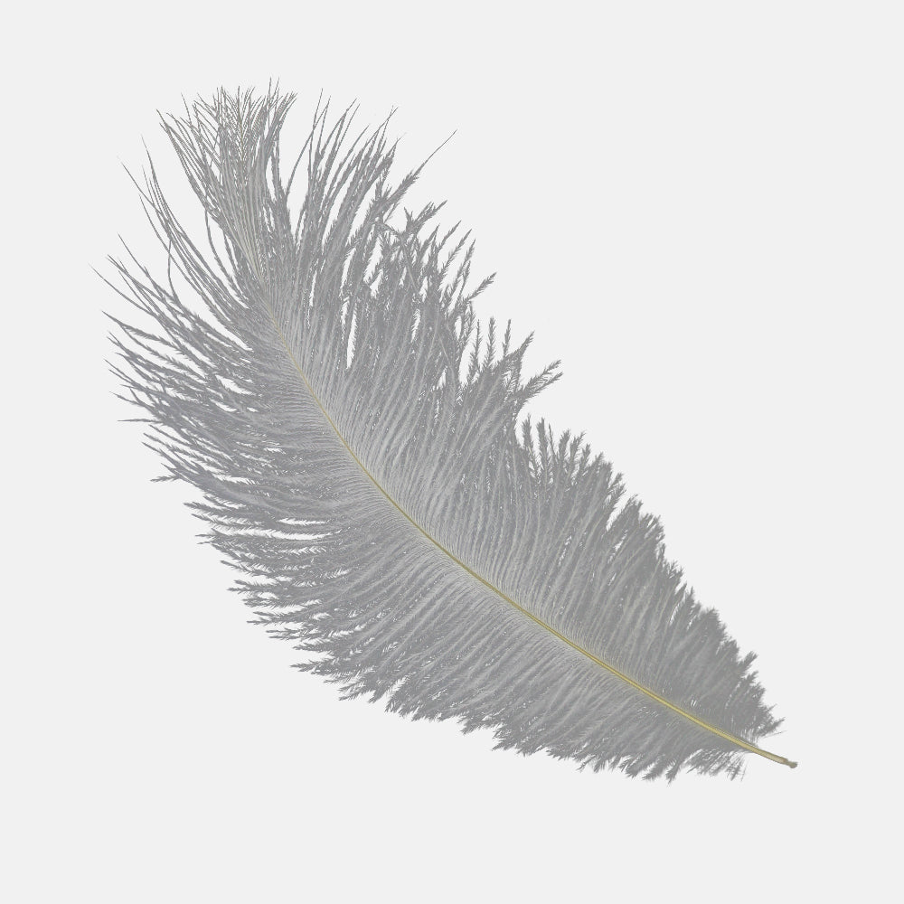 Plumas avestruz 15 20 cm gris plata