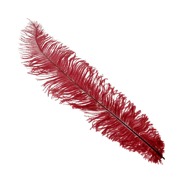 Plumas avestruz 40 50 cm granate
