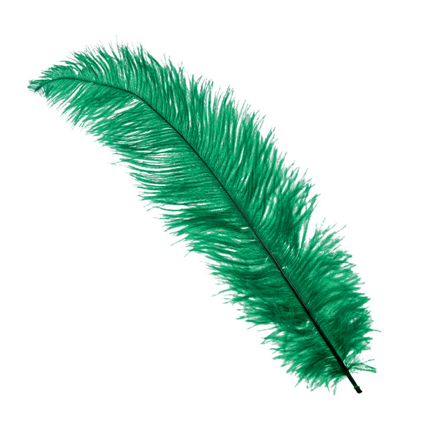 Plumas avestruz 40 50 cm jade
