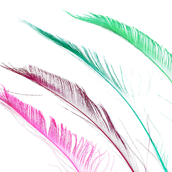 Plumas espada 30 cm portada