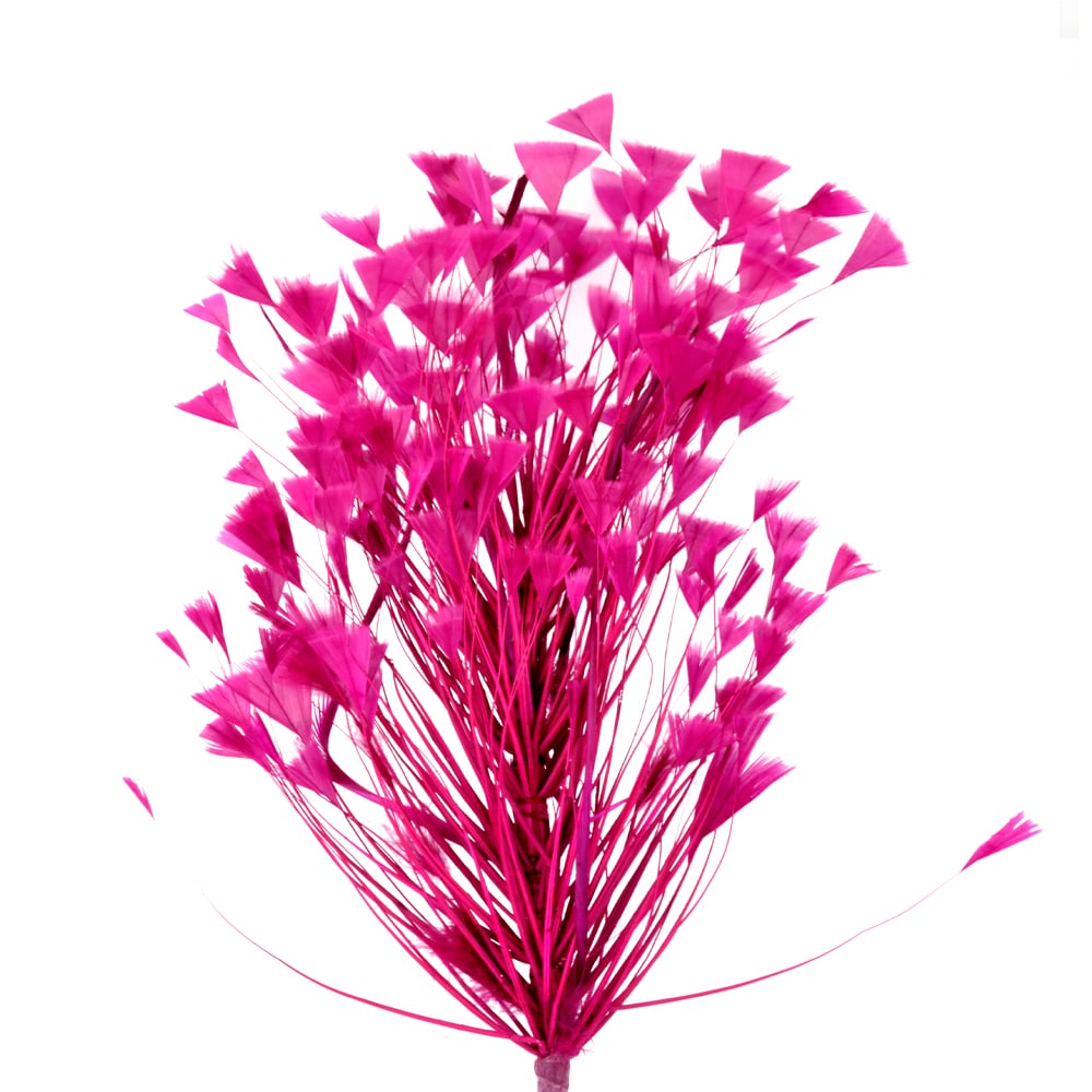 018-Fucsia