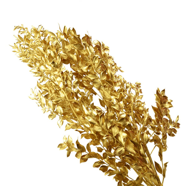 RUSCUS PRESERVADO oro