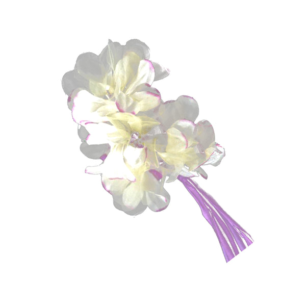 062-Malva