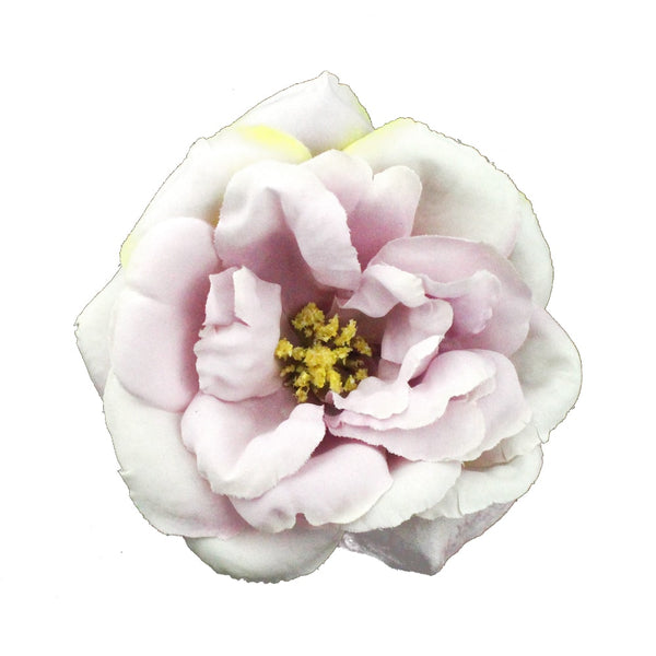 Rosa 10 cm lila