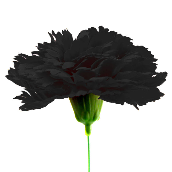 clavel 12 negro