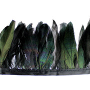 Vista 1