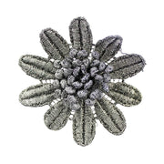 Vue 5