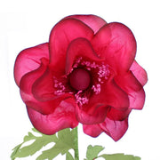 Vue 1
