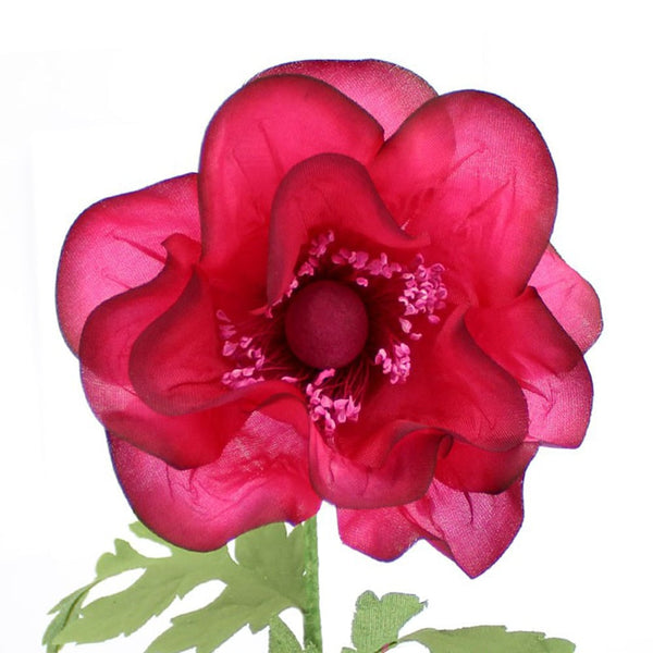 flor bailey buganvilla